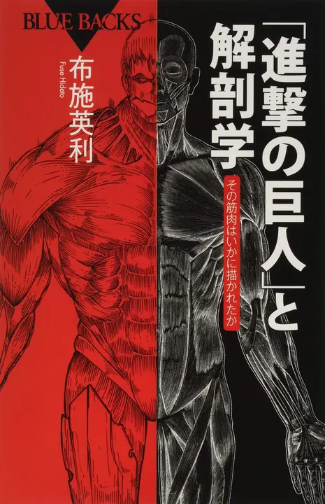 Attack on Titan y la anatomía: cómo se dibujaron sus músculos (japonés)