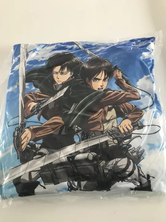 Cojín Eren y Levi de Halantex (40 x 40 cm)